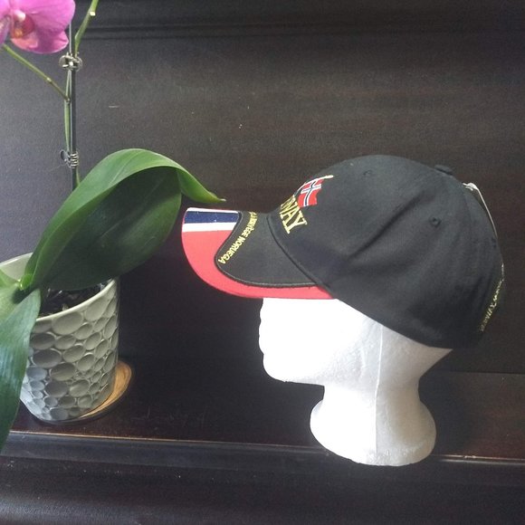 Norway baseball cap NWT 🎈HOST PICK🎈 - Picture 2 of 7